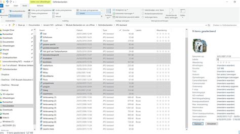 Windows Verkenner Bestandseigenschappen En Toevoegen Van Metadata Of