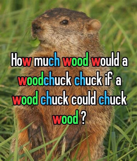 How Much Wood Would A Woodchuck Chuck If A Woodchuck Could Chuck Wood