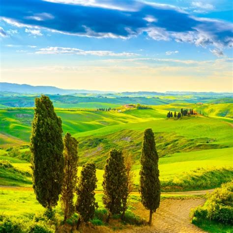 Tuscany Rural Sunset Landscape Countryside Farm White Road And