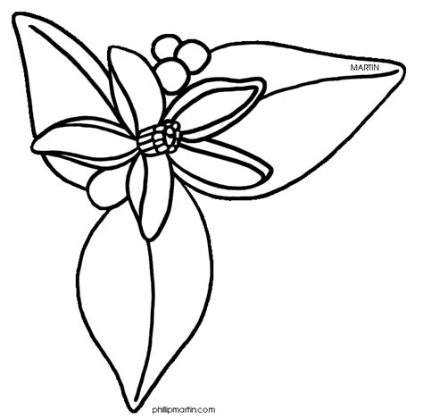 Fruit coloring pages flag coloring pages flower coloring pages free printable coloring pages coloring sheets coloring books florida state flag florida keys state crafts. Clipart Panda - Free Clipart Images