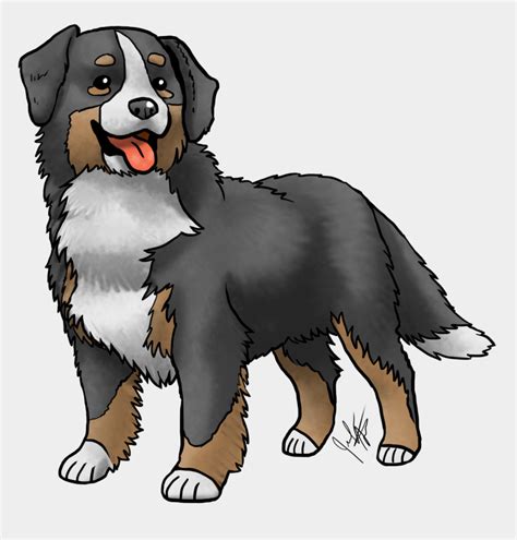 Get Here How To Draw A Bernese Mountain Dog Puppy Step By