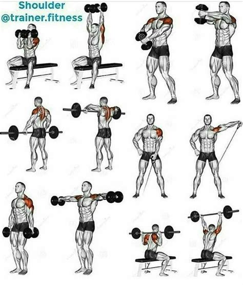 Check spelling or type a new query. Pin by David Click on Workout (schouders) | Shoulder ...
