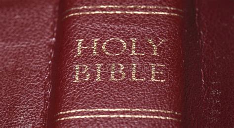 Holy Bible Stock Photo Image Of Holy Gospel Read Bible 6807076