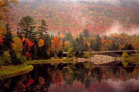 10 Day New England Fall Foliage Tour Including Cape Cod 2023 Manchester