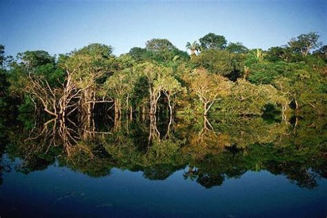 Amazônia National Park Nature Conservation Park Area Green Area