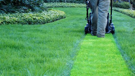 Book online or call us 24 hours. lawn-mowing-service-near-me-cost-in-Benicia - Shamrock ...