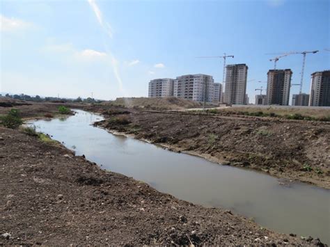 Bustan hagalil is a moshav in the western galilee in northern israel. טיולים בחוף הגליל ובעמק עכו - iNature