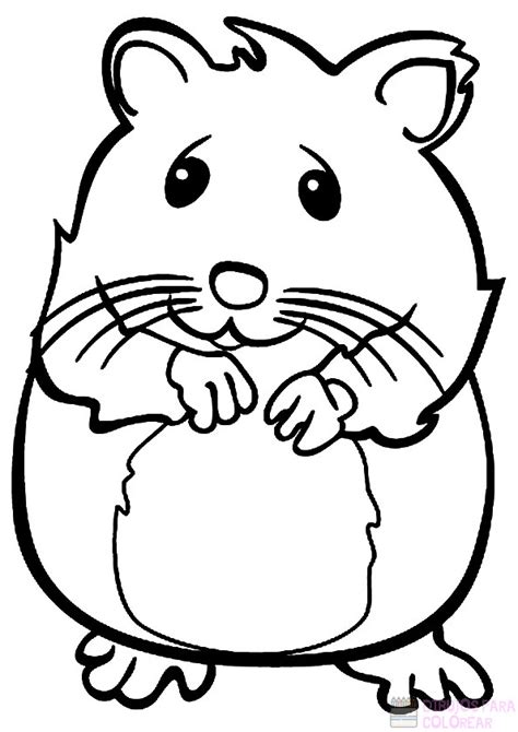 Dibujos De Hamsters Ruso Para Colorear E Imprimir