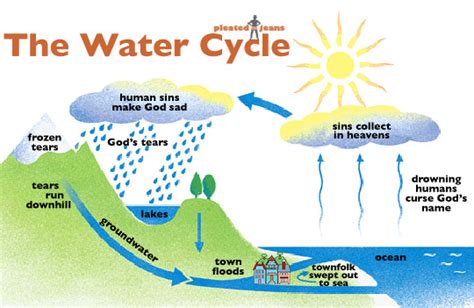 The Water Cycle Chart