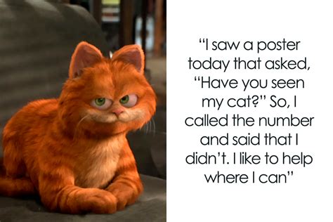 129 Cat Jokes That’ll Have You Clawing For More Bored Panda
