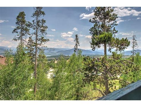 Treehouse Wildernest Condos For Sale Silverthorne Co Real Estate