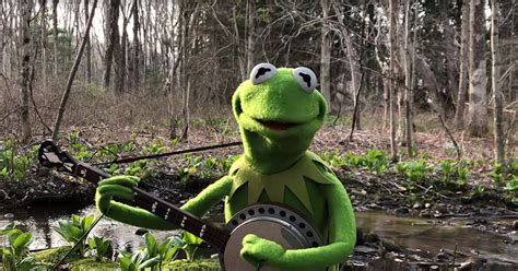Quirky Kermit The Frog Gives Self Isolated Performance Of Rainbow