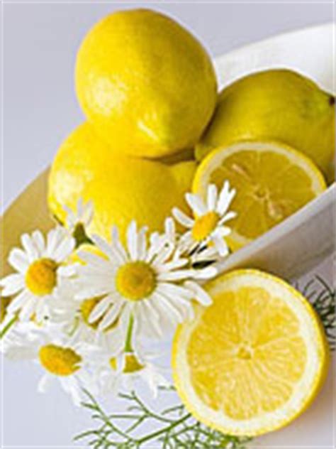 The truth about lemon water and weight loss. Lemon Juice For Hair Loss | All Natural And Effective Hair ...