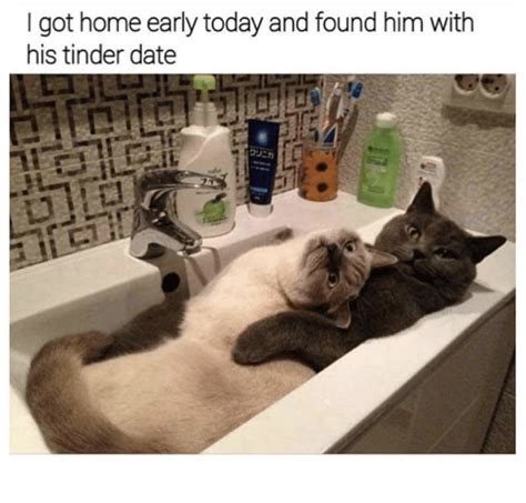 Adorable Caturday Memes That Are Sure To Get You Purring Memebase