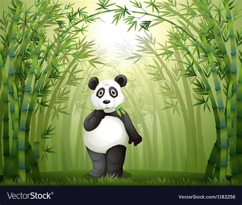 Cartoon Panda Bamboo Forest Royalty Free Vector Image