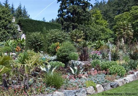 Maybe you would like to learn more about one of these? Tipps und Tricks für die mediterrane Gartengestaltung ...