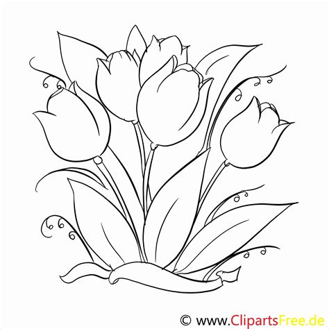 Frisch Malvorlagen Blumen Zum Ausdrucken | Coloring pages, Flower