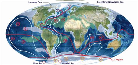 Two Main Currents Thermohaline Circulation