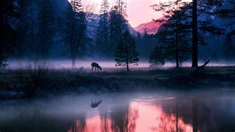 Nature Landscapes Wallpapers National Geographic Detail High
