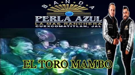 El Toro Mambo Banda Perla Azul La Mas Ranchera De Cuexco En Vivo 2022