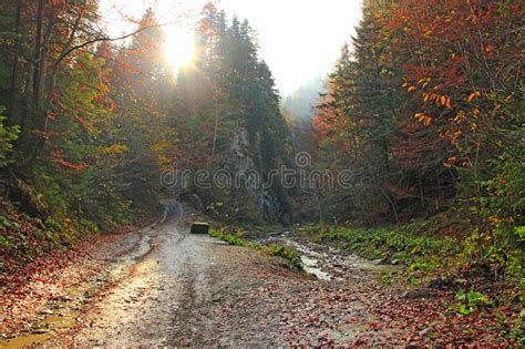 Mountain Autumn Landscape With Road In Colorful Forest And Sunny Rays