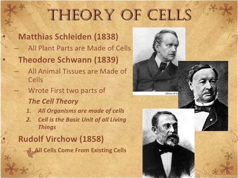 Cell History