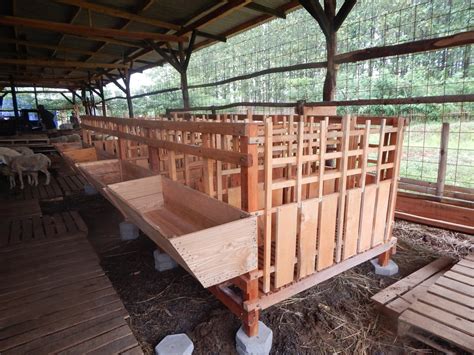 Kandang kambing yang sehat adalah kandang kambing yang mempunyai desain yang baik untuk pembuangan kotoran dan tempat untuk menaruh makanan kambing itu sendiri. Jual Kandang Kambing dan Domba yang bisa dirangka dan bogkar pasang di lapak Zakky Achmad zakky ...