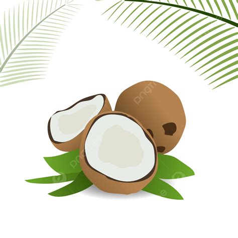 Fresh Green Leaves Vector Png Images Fresh Green Coconut With Leaves
