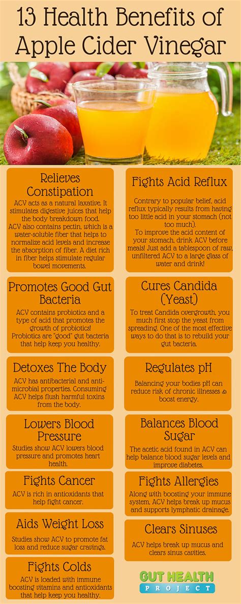 13 Amazing Reasons To Use Apple Cider Vinegar For Your Health Infographic