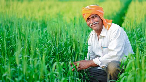 Indian Agriculture Sector Leading The Way Diplomatist