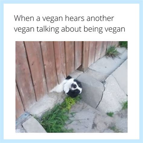 16 Relevant And Funny Vegan Memes To Share Lifetimespress