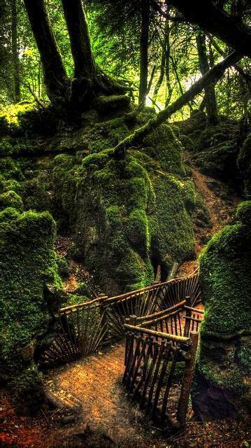 Puzzlewood By Cfynes On Flickr Beautiful World Pretty Places