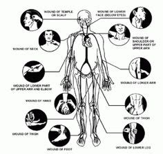 Self defense moves self defense martial arts martial arts techniques self defense techniques pressure point knockout hand pressure points powerlifting men mma home body weight workout. 1000+ images about Self Defense on Pinterest | Pressure ...