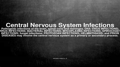 Medical Vocabulary What Does Central Nervous System Infections Mean