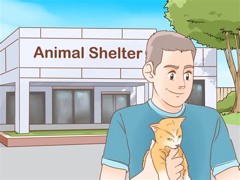 5 Ways To Take Care Of A Cat Wikihow