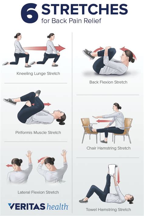 Stretching For Back Pain Relief Sainato Chiropractor Port Orange