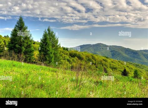 Green Landscape Beauty Hi Res Stock Photography And Images Alamy