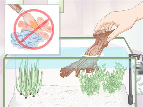 New milan aquarium parbhani maharashtra how to make an beautiful complete tutorial fish tank accessories at milan aquarium's aquarium setup & decoration accessories in hindi. 3 Ways to Creatively Decorate a Freshwater Fish Tank - wikiHow