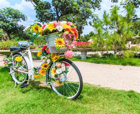 Wine basket delivery for wine lovers you can rest assured every wine gift is packaged fresh and delivered with care so that it arrives to your recipient ready to be uncorked. 33 Bicycle Flower Planters for the Garden or Yard