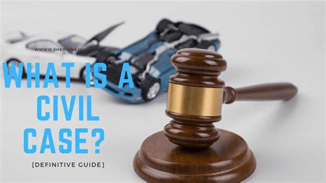 What Is A Civil Case Guide Examples 2024 Sheria Na Jamii