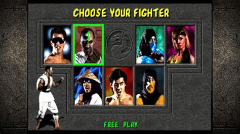 Mortal Kombat 1992 Characters Full Roster Of 7 Fighters