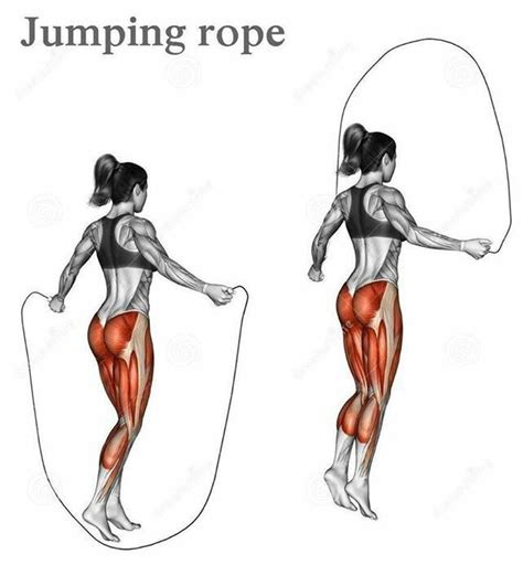 Muscles Used In Jumping Rope Fitness Body Exercise Best Cardio Workout