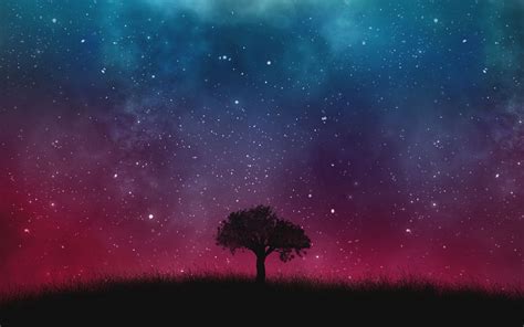 Download Wallpaper 1440x900 Starry Sky Night Tree Widescreen 1610 Hd