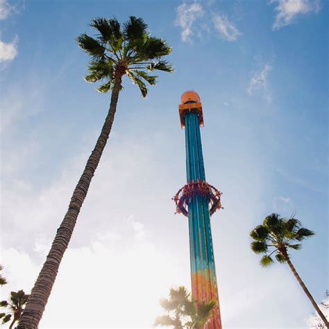 Drop Tower Ride Falcons Fury Set To Reopen This Spring At Busch Gardens Tampa Bay