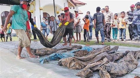 Kilas Balik Tsunami Dahsyat Aceh Yang Terjadi 26 Desember 2004 Hingga Tewaskan 170000 Jiwa