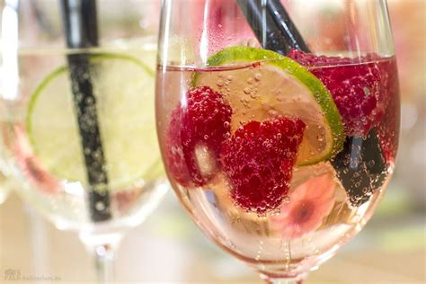 Den lillet hugo mit einem minzezweig und limettenviertel garniert servieren. Lillet Tonic Wild Berry | Lillet rezepte, Lillet ...