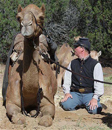 Edward fitzgerald beale, for whom beale's cut in newhall would later be named, led the u.s. Explorers and Settlers - Petrified Forest National Park (U ...
