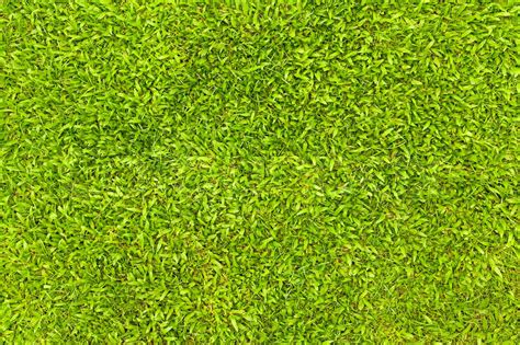 Top View Of Natural Green Grass Texture Aerial View Of Park Stock