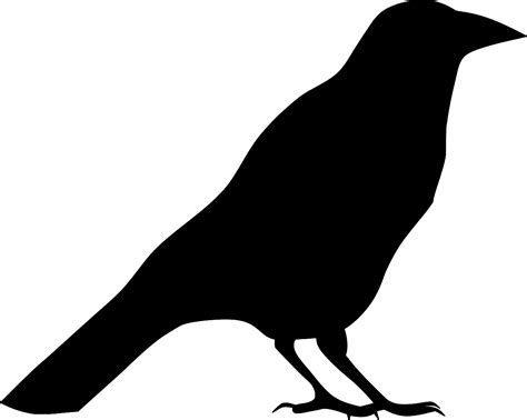Svg Animal Bird Crow Free Svg Image And Icon Svg Silh