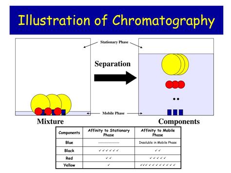Stationary Mobile Phase And Application Of Gas Chromatography Presentation